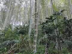-千泷沟大瀑布旅游区