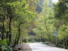 -广州市石门国家森林公园
