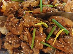 -成老灶火锅鸡(平山店)