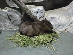 -福州罗源湾海洋世界旅游区