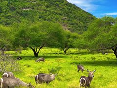 -卡塞拉自然公园