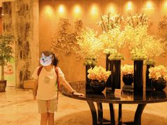 -四川江油戴斯大酒店