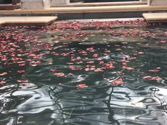 -苏州湾王焰温泉度假酒店