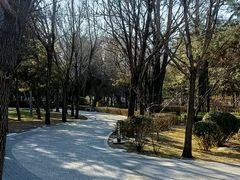 -迎泽公园