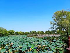 -长兴太湖图影湿地文化园
