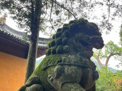 -天台山景区