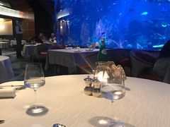 -迪拜帆船酒店海底餐厅