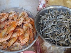 -大湾区中央湿地公园-十九涌