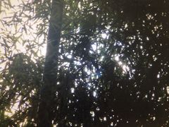 iphone_upload_pic-众神白水涧景区