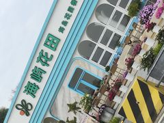 -野狸岛