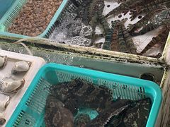 -南沙十九涌渔人码头-南门