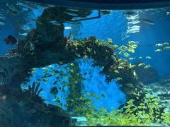 -海合安武汉极地海洋公园