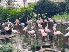 -九龙公园