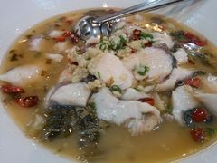 -蒲园食堂(中山大学广州校区南校园店)