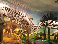 -甘肃地质博物馆