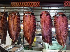 -煲来饱去冷水鱼
