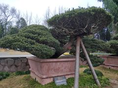 -水绘园