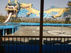 -太阳部落