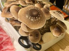-鲜货俚鲜火锅(青果路店)
