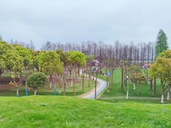 -嘉兴清池酒店温泉