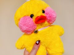 -PAWTOY爪e玩偶店(天兴罗斯福店)