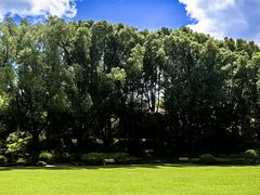 -申粤轩酒楼·三十年粤菜经典(丁香花园店)