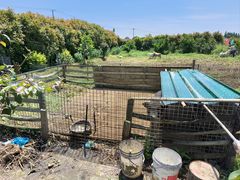 -小鱼草莓采摘园农家乐·小鱼餐厅