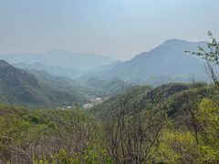 -大岭沟猕猴桃谷风景区