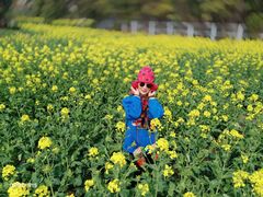 -浦星公路-路侧停车位