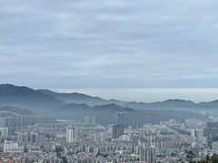 -板樟山森林公园