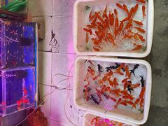 -纯心饼店(源溪店)