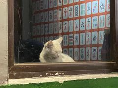 -脸谱市井火锅(泺源大街店)