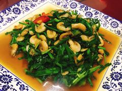 -杨辉饭店