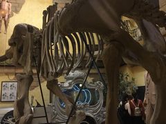 -信不信由你博物馆