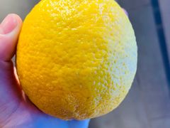 -书亦烧仙草(二七万达广场店)