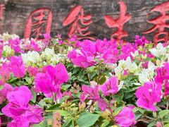 -盈香心动乐园