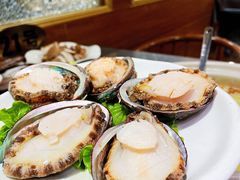 鲜活小鲍鱼-金龙·打边炉(武进路店)
