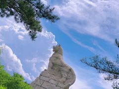 -帽儿山国家森林公园