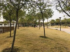 -海珠儿童公园