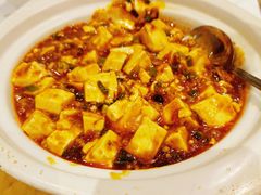 麻婆豆腐-眉州东坡(民族园店)