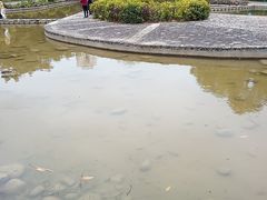 -聚龙山公园