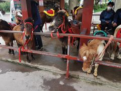 -西安秦岭野生动物园