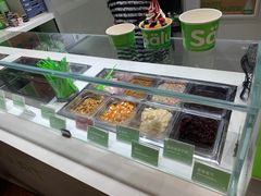 -Salud撒露欧洲冻酸奶(北苑上品店)