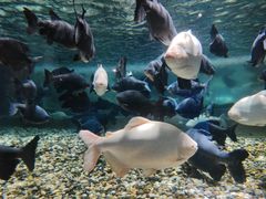 -成都浩海立方海洋公园