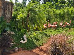 -海南热带野生动植物园