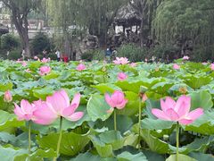 -莲池书院博物馆