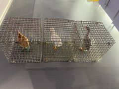 -广东科学中心