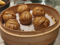 -唐猫庭院·千年陕菜(大唐不夜城店)