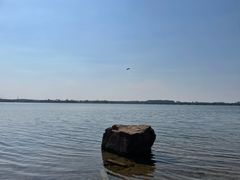 -丁香湖公园
