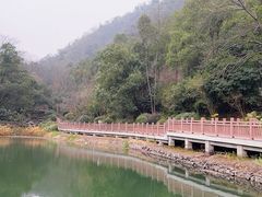 -桃花岭景区